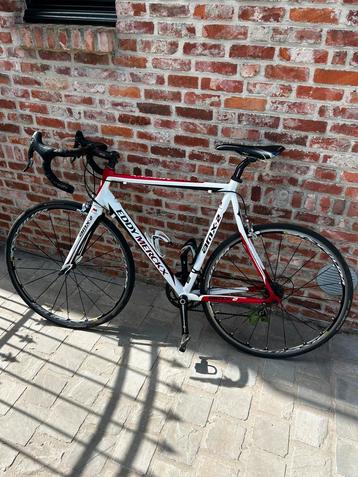EDDY MERCKX koersfiets in sint katelijne waver, Ophalen