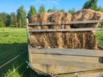 25 tal kleine botten hooi, Dieren en Toebehoren, Ophalen