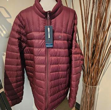 Doudoune Tommy Hilfiger couleur bordeaux beschikbaar voor biedingen