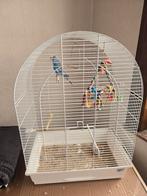 Cage Oiseau, Animaux & Accessoires, Enlèvement, Comme neuf