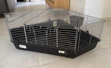 Extra grote cavia/konijnen kooi beschikbaar voor biedingen