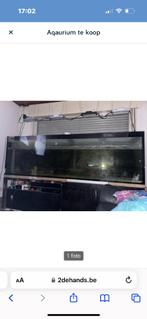 Aqaurium, Dieren en Toebehoren, Ophalen, Gebruikt, Leeg aquarium