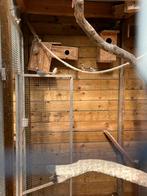 Zebravinken, Dieren en Toebehoren