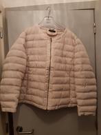 Jas paprika maat 52 te koop, Kleding | Dames, Grote Maten, Ophalen