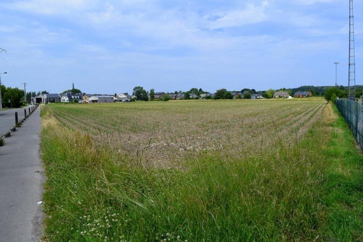 HOTTON : grond voor huisvesting 4,86 hectare te koop, Immo, Gronden en Bouwgronden, 1500 m² of meer