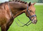 Profi-Rider Ares Hoofdstel Lak Zwart Wit Cob + Full SALE!, Ophalen of Verzenden, Nieuw, Dressuur