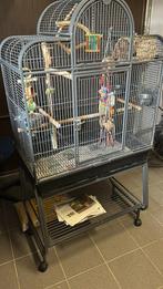 Papegaaien kooi, Ophalen, Zo goed als nieuw