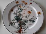 Villeroy & Boch. Set van 4 borden. BOTANICA, Antiek en Kunst, Ophalen