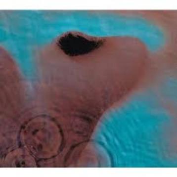 Lot de Vinyls beschikbaar voor biedingen