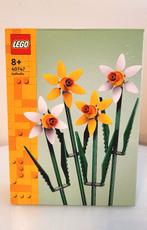 Lego Botanical Daffodils, nieuw, Ophalen, Nieuw, Complete set, Lego
