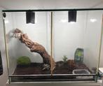Terrarium (groot), Dieren en Toebehoren, Ophalen, Zo goed als nieuw, Verlichting