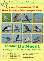 Europese goudvinken sijzen kleine putters, Dieren en Toebehoren
