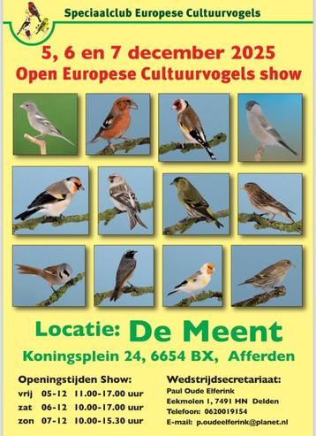 Europese goudvinken sijzen kleine putters beschikbaar voor biedingen