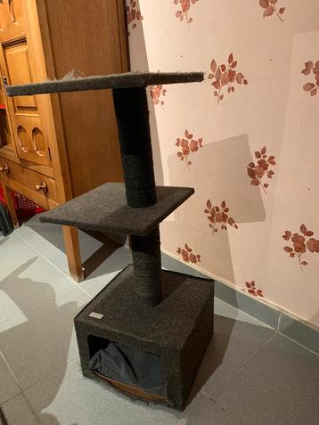 Krabpaal katten beschikbaar voor biedingen