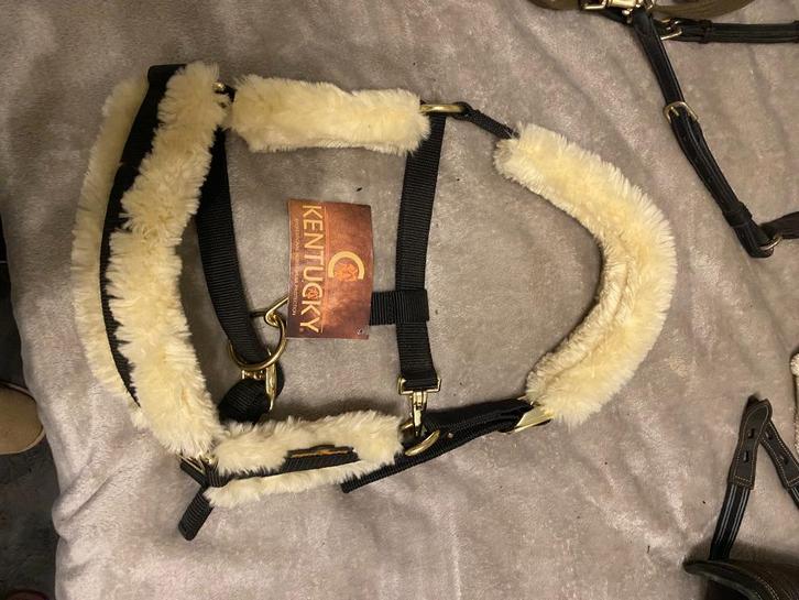 Halsters, Dieren en Toebehoren, Paarden en Pony's | Hoofdstellen en Tuigage, Nieuw, Ophalen