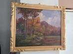 Prachtig schilderij, Ophalen of Verzenden
