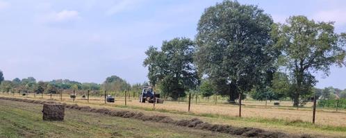 Voordroog hooi, Dieren en Toebehoren, Paarden en Pony's | Overige Paardenspullen, Nieuw, Ophalen