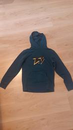 Hoodie Jordan 12-13 jaar, Kinderen en Baby's, Kinderkleding | Maat 152, Trui of Vest, Ophalen of Verzenden, Zo goed als nieuw