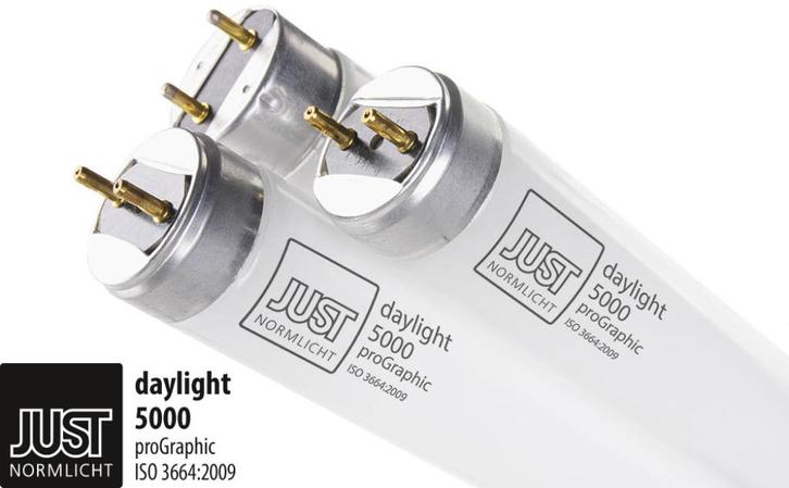 Gecalibreerde TL-lampen voor correcte kleurweergave, Audio, Tv en Foto, Fotografie | Fotostudio en Toebehoren, Nieuw, Lamp of Flitsset