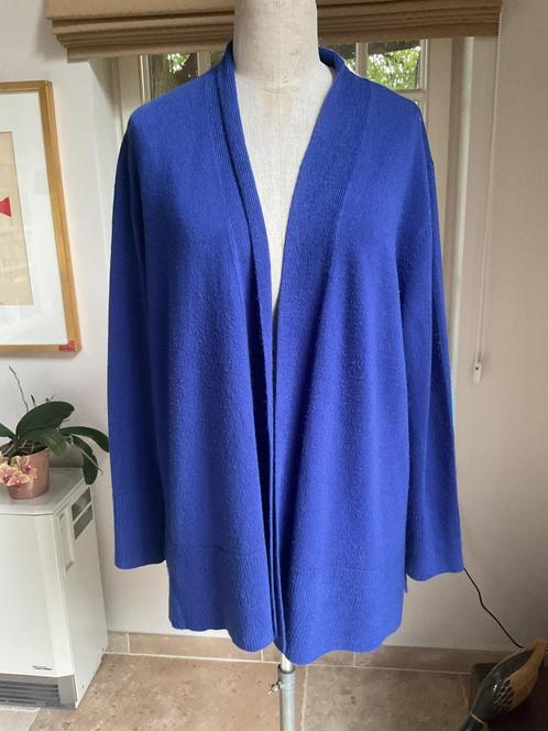Lange loshangende gilet , maat XXL, Kleding | Dames, Truien en Vesten, Ophalen of Verzenden
