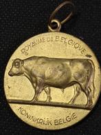 Belgisch medaille, Ophalen of Verzenden, Brons