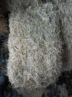 Hooi, Dieren en Toebehoren, Ophalen