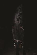 Paarden fotoshoot, Enlèvement