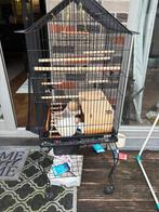 Cage d’oiseau, Enlèvement, Comme neuf