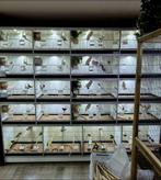 Grote Van Keulen kweekkooi met LED & dimmer, Dieren en Toebehoren, Ophalen, Zo goed als nieuw, Broedkooi of Kweekkooi