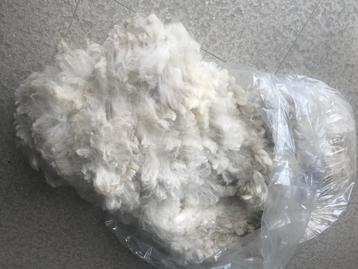 Wol alpaca  beschikbaar voor biedingen