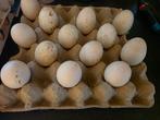 Broedeieren Peking eend, Dieren en Toebehoren, Ophalen of Verzenden, Zo goed als nieuw
