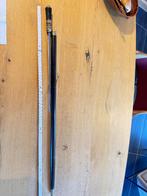 Canne épée, Enlèvement, Utilisé