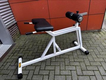 Technogym Glute Ham , Hyperextension