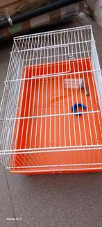 Cage hamster avec reservoir d'eau et roue, Dieren en Toebehoren, Knaagdieren en Konijnen | Hokken en Kooien, Ophalen of Verzenden