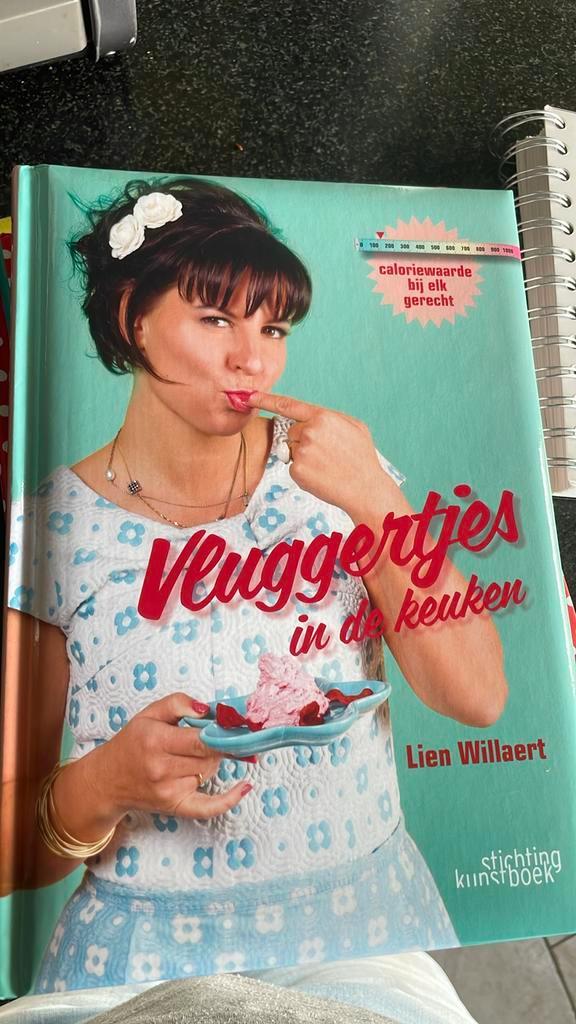 Lien Willaert - Vluggertjes in de keuken, Boeken, Kookboeken, Zo goed als nieuw, Ophalen of Verzenden