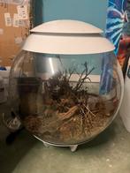 Biorb, Ophalen, Zo goed als nieuw