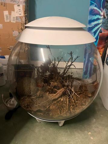 Biorb beschikbaar voor biedingen