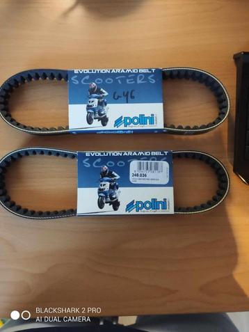 Polini V-snaar voor GY6 50cc motorblokken (nieuw), Enlèvement ou Envoi, Neuf, Bloc, GY6