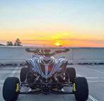 Raptor 700, Motoren, Quads en Trikes