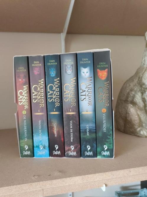 Cadeaubox warrior cats serie 1, uitstekende conditie, Boeken, Kinderboeken | Jeugd | 13 jaar en ouder, Ophalen of Verzenden