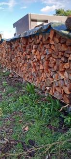 Brandhout, Tuin en Terras, 6 m³ of meer, Ophalen, Overige houtsoorten