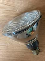 PHILIPS FLOOD lampen 100 watt (17 stuks), Ophalen of Verzenden
