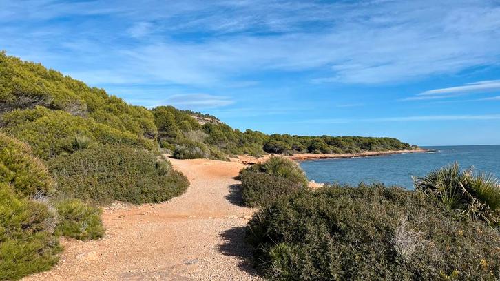 Leuke en voordelige vakantie in Marina d’Or, Spanje, Tickets & Billets, Chèques Hôtel & Bons pour Hôtel