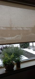 3 stuks rolgordijnen, 200 cm ou plus, Beige, Comme neuf, Tijdloos