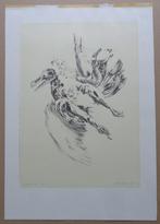 GUIDO MARIMAN / EMBRYONAAL LEVEN / KLEURLITHO / 47x32cm SIG, Antiek en Kunst, Ophalen of Verzenden