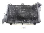 Radiator D1-37877, Motoren, Onderdelen | Merk-onafhankelijk