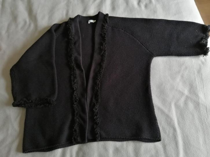Filippa K zwarte vest zonder knopen, Kleding | Dames, Truien en Vesten, Gedragen, Maat 42/44 (L), Zwart, Ophalen of Verzenden