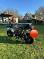 Skyteam DAX 50cc, Autres modèles, 4 vitesses, Classe B (45 km/h), Enlèvement