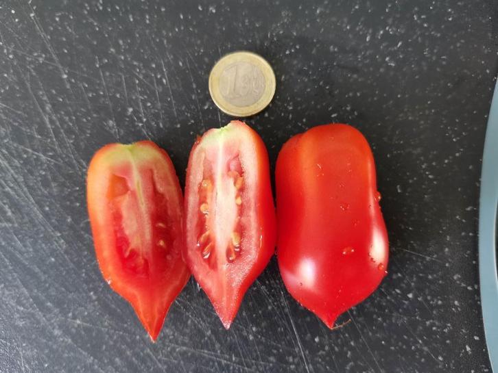 5 graines de tomates précoces roma Ropreco paste bio, Jardin & Terrasse, Bulbes & Semences, Graine, Printemps, Envoi