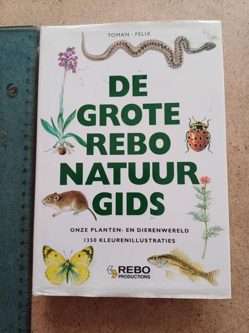 De grote Rebo Natuurgids, Boeken, Natuur, Zo goed als nieuw, Natuur algemeen, Ophalen of Verzenden